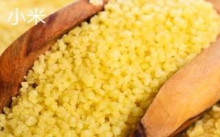 小米出蟲了還能吃嗎，把蟲子驅(qū)趕后便可食用