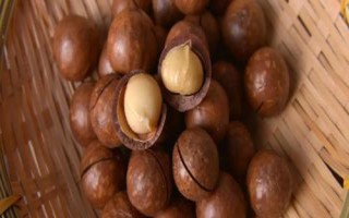 夏威夷果的主要價(jià)值，以食用為主是世界上最好的桌上堅(jiān)果之一