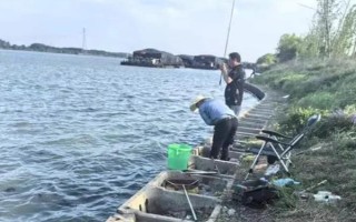釣?zāi)圉q怎么快速上鉤，使用鮮活的蟲(chóng)餌具有良好效果