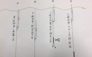 河里野釣用什么魚漂，根據(jù)魚種和垂釣者的喜愛來選擇