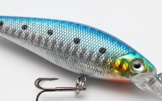 釣虹鱒魚一般用什么路亞餌，常用的擬餌有鉛頭鉤釣組、亮片等