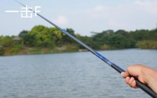 6.3米魚竿推薦，這幾款性價(jià)比高