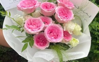 粉色洛神玫瑰花的花語是什么，寓意初戀、甜美、純真等