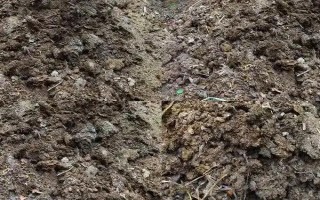 基肥是什么肥料，指的是在作物播種前所施用的肥料