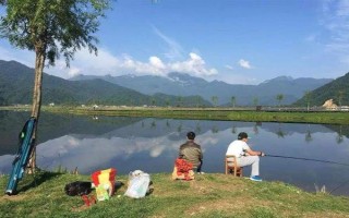 釣魚下午是釣深還是釣淺，一般是釣深