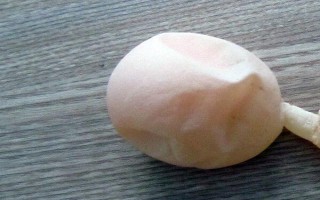 鵝生軟殼蛋的原因，可能是得了吸蟲病或缺素導(dǎo)致的