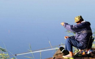 垂釣麥穗魚(yú)的技巧，可從釣底開(kāi)始向上搜索魚(yú)層