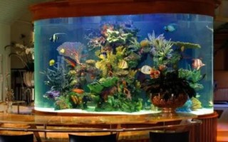 魚缸怎樣保持弱酸性水，可以給魚缸充氧