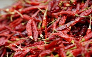 什么品種的干辣椒最辣、最香，推薦七星椒、子彈頭、新一代等
