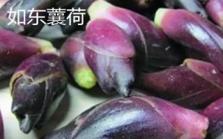 江蘇南通市如東縣的特產(chǎn)，如東條斑紫菜暢銷各地