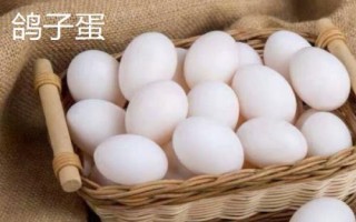 蛋的品種，最常見(jiàn)的種類是雞蛋