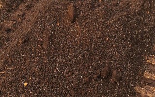 茶葉渣怎樣做肥料，與土1:5混和并堆積加水發(fā)酵即可