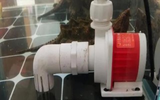 怎么能讓魚(yú)缸水泵靜音，需固定管路