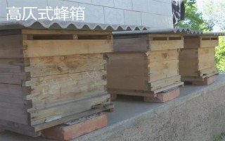 中蜂箱能放幾框合適，標準箱能容納10個巢框