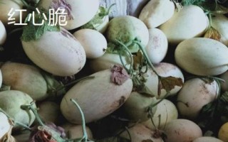 新疆阿勒泰地區(qū)的特產(chǎn)，喀納斯蜜瓜被譽(yù)為“阿山一絕”