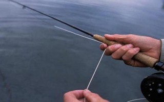 馬口魚的生活環(huán)境，常棲息在山澗溪流中