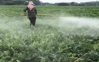 乙基多殺菌素有什么作用，可快速滅殺農(nóng)業(yè)害蟲