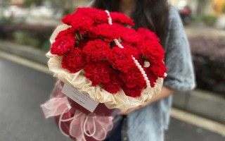 紅色康乃馨適合送什么人，適合贈送給母親或師長