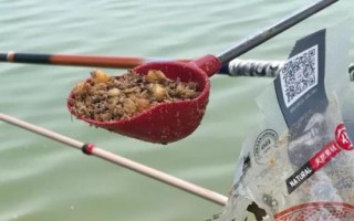 夜釣用蚯蚓還是餌料好，取決于魚情、釣法、環(huán)境