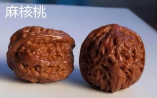 核桃樹上的蟲子是什么，常見蟲子為樗蠶蛾