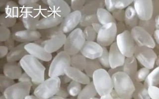 江蘇南通市如東縣的特產(chǎn)，如東條斑紫菜暢銷各地