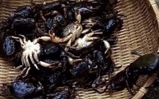 山螃蟹和河蟹的區(qū)別，生長環(huán)境和食用方法均不同