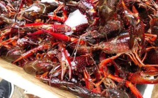 潛江小龍蝦幾月份上市，3月底就開始陸陸續(xù)續(xù)的上市