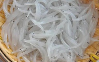 丹江口市銀魚的產(chǎn)地，產(chǎn)地主要在湖北十堰丹江口市