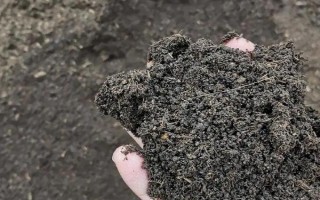 有機肥和生物菌肥的區(qū)別，前者本身含有多種養(yǎng)分、后者通過微生物的生命活動產(chǎn)生肥效