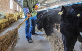 養(yǎng)驢的成本和利潤，1頭驢的總成本為5400元左右