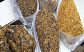 蜂膠有哪些品種以及如何選購，可分為原膠、純膠、蜂膠口服液、蜂膠軟膠囊
