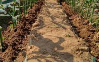 基肥是什么肥料，指的是在作物播種前所施用的肥料