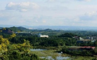 四川省營(yíng)山縣的特產(chǎn)，油豆腐、咂酒、酸辣豆花很有名