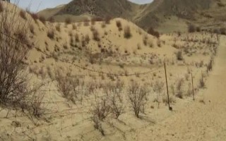 土地沙漠化如何防治，可防風(fēng)固沙、植物治理等