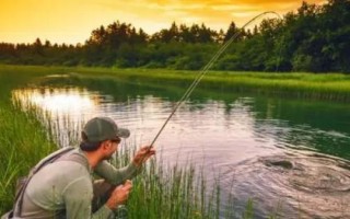 秋釣技巧，在水草區(qū)、入水口等位置釣魚更容易釣獲
