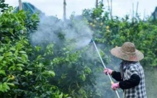 怎么提高微生物農(nóng)藥的藥效，在25-30℃的氣溫下打藥可增強(qiáng)藥效