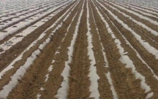 如何鋪設(shè)地膜，平鋪在土面、邊緣用土壤壓實即可