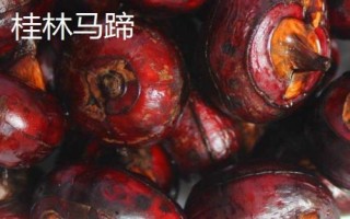 馬蹄可以做成哪些美食，可用來(lái)制做馬碲豬肉丸、馬碲炒蝦仁等食物