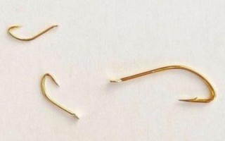 1號(hào)秋田狐魚鉤能釣多大的魚，1兩以內(nèi)的魚不在話下