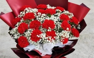 紅色康乃馨適合送什么人，適合贈送給母親或師長