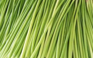 蒜苔怎么長(zhǎng)出，大蒜長(zhǎng)到一定程度就會(huì)分化出細(xì)長(zhǎng)的莖