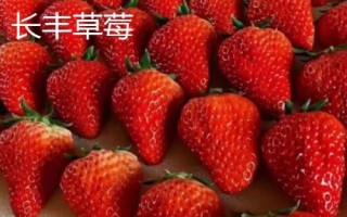 安徽省長(zhǎng)豐縣的特產(chǎn)，下塘燒餅深受消費(fèi)者喜愛