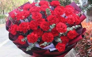 紅色康乃馨適合送什么人，適合贈送給母親或師長