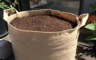 臭繡球花有沒有毒，毒素主要集中在葉片內