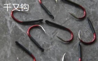 千又鉤和伊豆鉤的區(qū)別，千又鉤的鉤尖呈鷹嘴狀