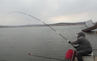 釣魚下午是釣深還是釣淺，一般是釣深