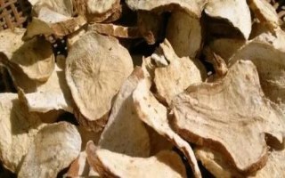 白術(shù)的管理方法，幼苗出土后要及時(shí)除草翻耕
