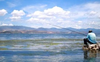 青魚怎么釣，選擇合適的釣組尤為重要