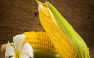 金香甜糯228玉米種子特征特性，每畝施15～20公斤尿素