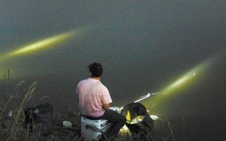 冬天晚上鰱鳙會開口嗎，氣溫太低非常難開口